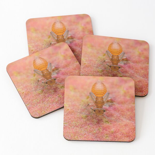 Item preview, Booklice - Psocoptera designed and sold by AronsTinySafari.