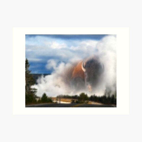 Yellowstone Buffalo Art Print