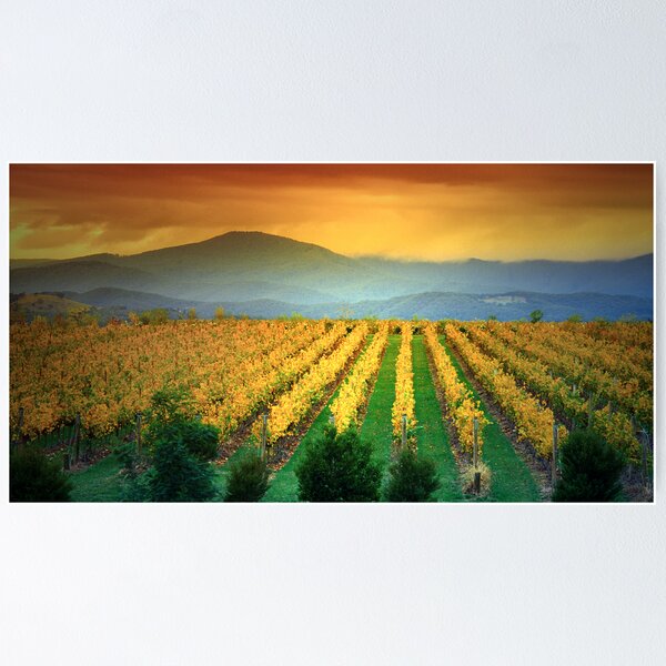 Item preview, Mount St Leonard and Vinyard, Yarra Valley. designed and sold by Ern Mainka.