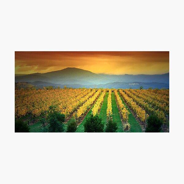 Item preview, Mount St Leonard and Vinyard, Yarra Valley. designed and sold by Ern Mainka.