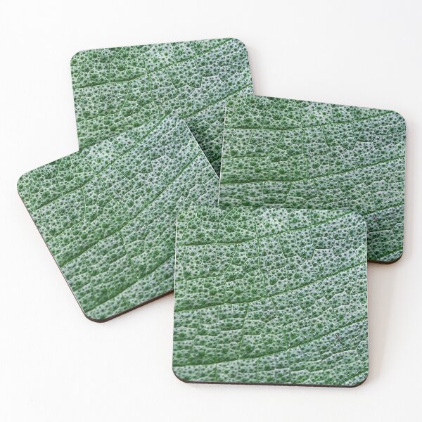 Item preview, Microscopic leaf : Leaf : nature designed and sold by CalmSootra.