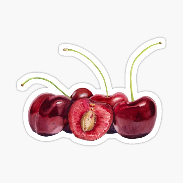 Le temps des cerises Sticker