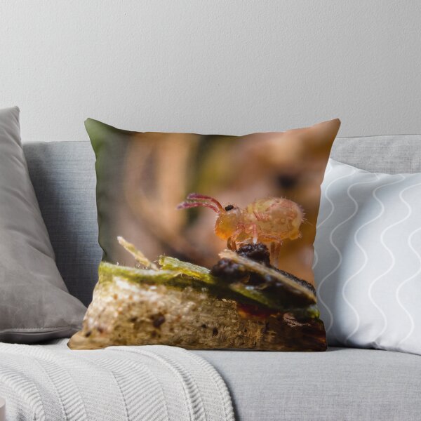 Item preview, Colémbolo Globular - Collembola Symphypleona designed and sold by AronsTinySafari.