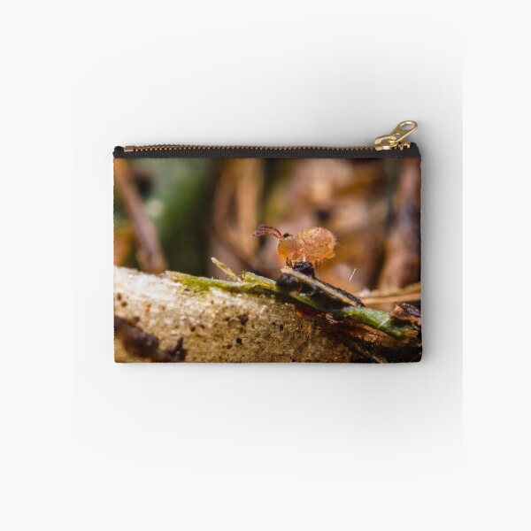 Item preview, Globular Springtail - Collembola Symphypleona designed and sold by AronsTinySafari.