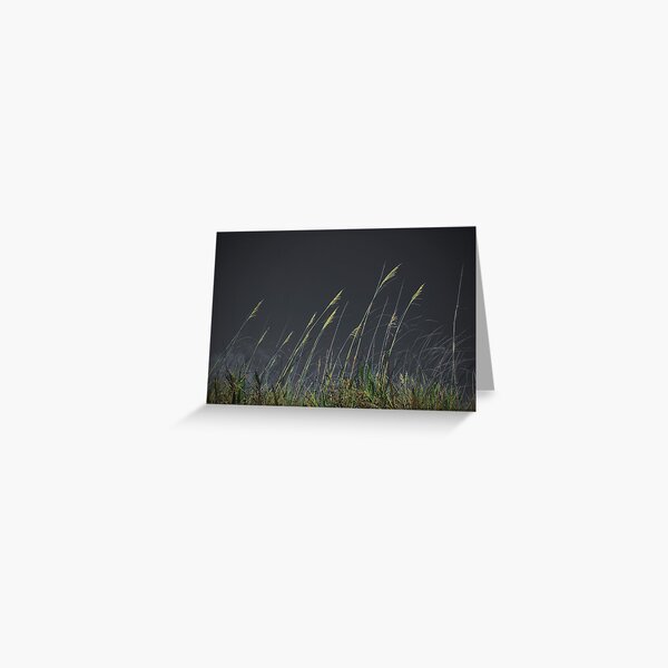 Eye of the Storm Greeting Card