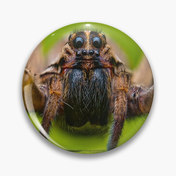 Item preview, Giant Rabid Wolf Spider - Rabidosa rabida designed and sold by AronsTinySafari.