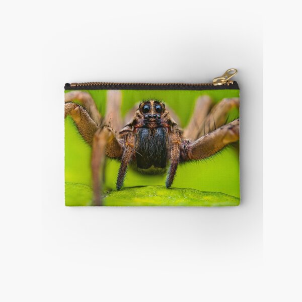 Item preview, Giant Rabid Wolf Spider - Rabidosa rabida designed and sold by AronsTinySafari.