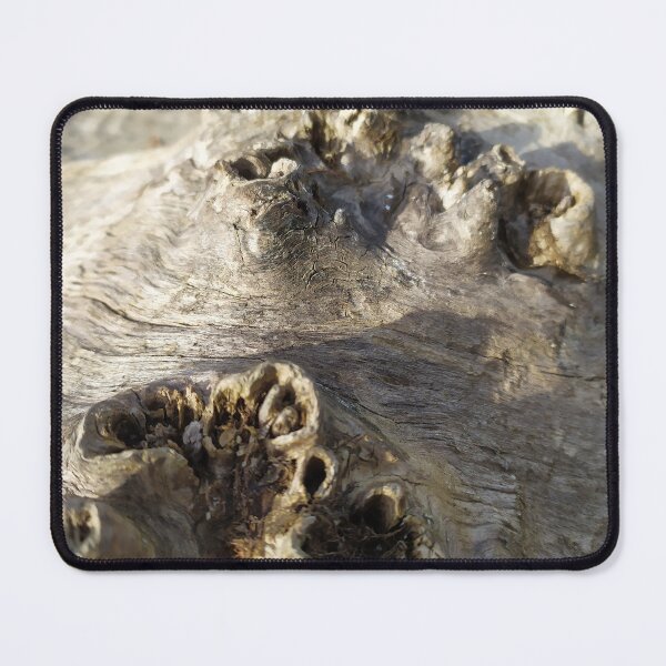 Item preview, Root, Wilderness, Tree Sculpture designed and sold by bernd49.