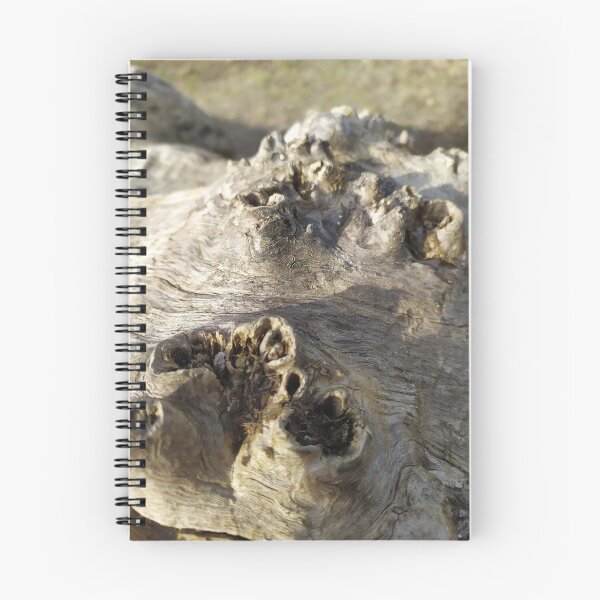 Item preview, Root, Wilderness, Tree Sculpture designed and sold by bernd49.