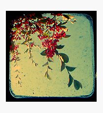 Good Morning - TTV Photographic Print