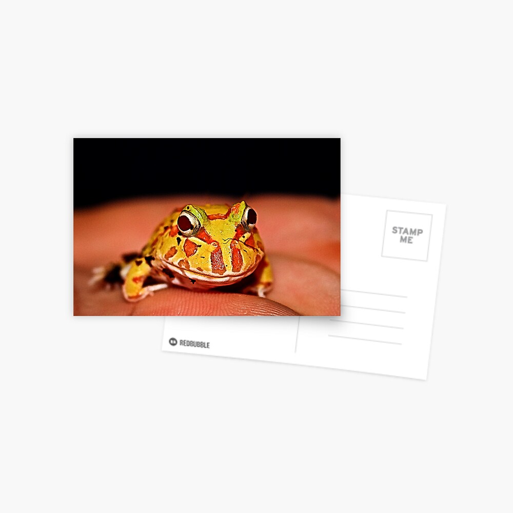Item preview, Postcard designed and sold by idnurse41.