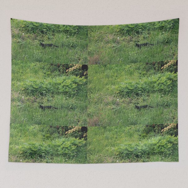Item preview, Black cat and butterfly designed and sold by mensijazavcevic.