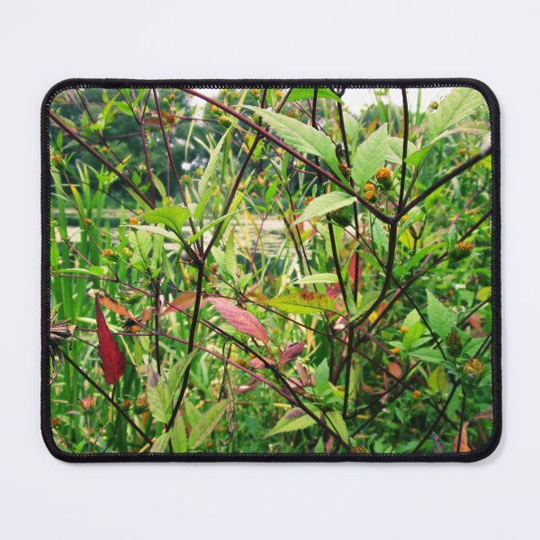 Item preview, wild plant meadow landscape | wild plant photography  designed and sold by lausn.
