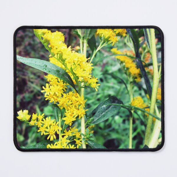 Item preview, wild flowering plant photo | wild plant botanical photography designed and sold by lausn.