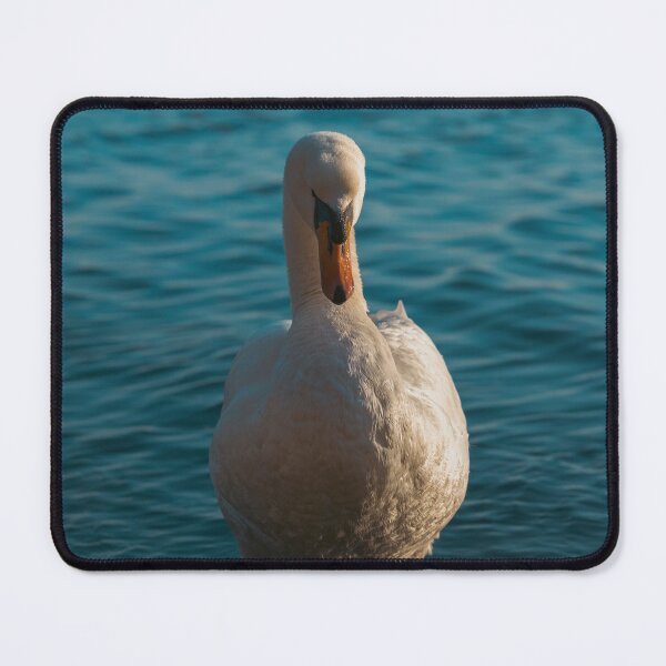 Item preview, Swan designed and sold by Brawnyink.