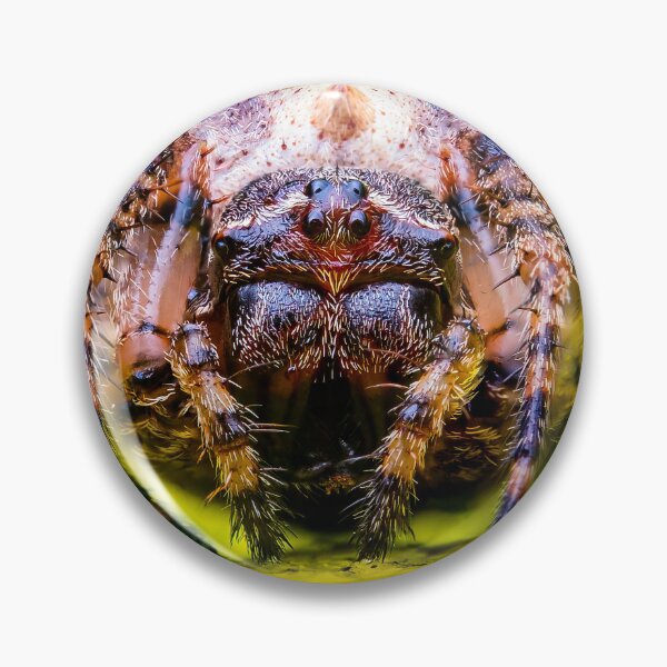 Item preview, Orbweaver Spider - Araneidae designed and sold by AronsTinySafari.