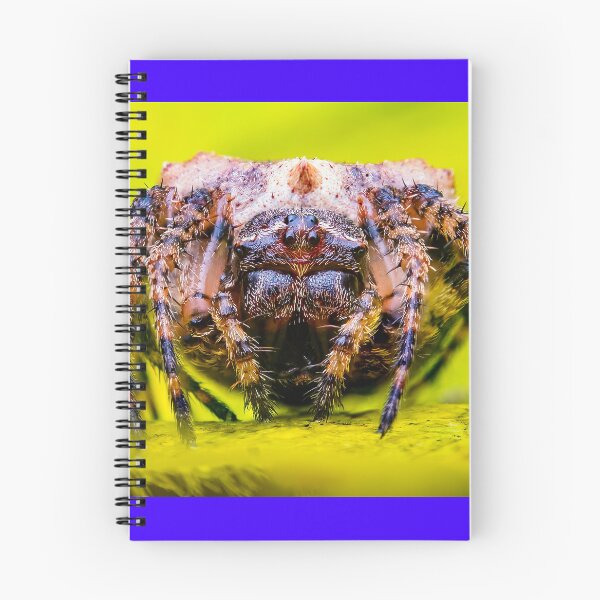 Item preview, Orbweaver Spider - Araneidae designed and sold by AronsTinySafari.