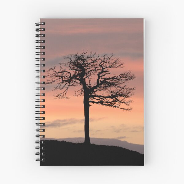Item preview, Lone Tree Silhouette designed and sold by Macrae images.
