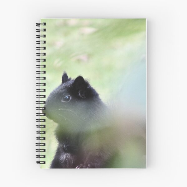 Item preview, Squirrel Series 4 designed and sold by sad-squirrel.