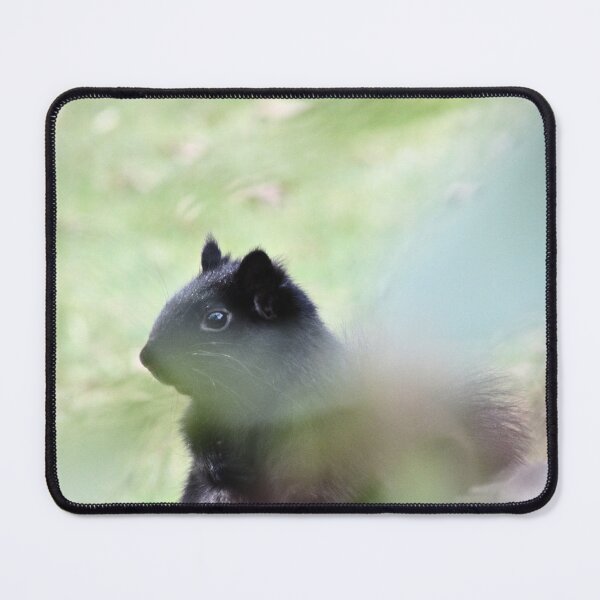 Item preview, Squirrel Series 4 designed and sold by sad-squirrel.