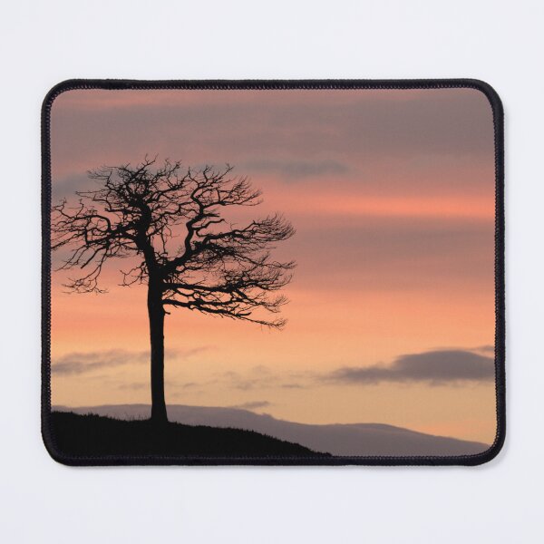 Item preview, Lone Tree Silhouette designed and sold by Macrae images.