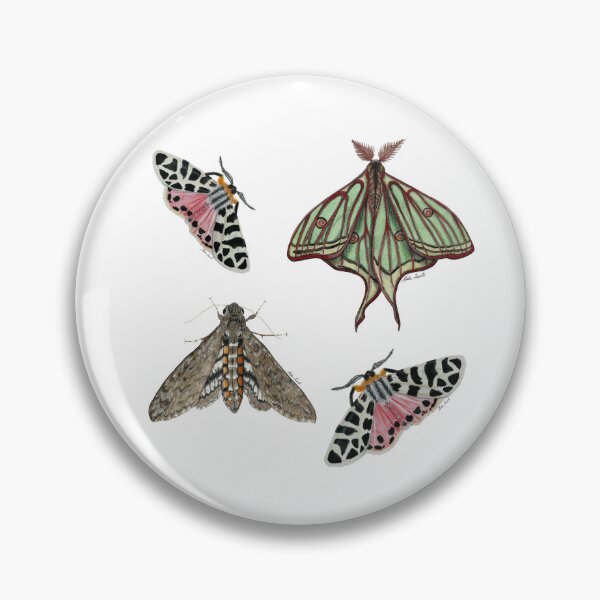 Item preview, Set of moths in watercolor, Isabelina, Arctia caja, manduca brasiliensis designed and sold by Malu-Iriarte.