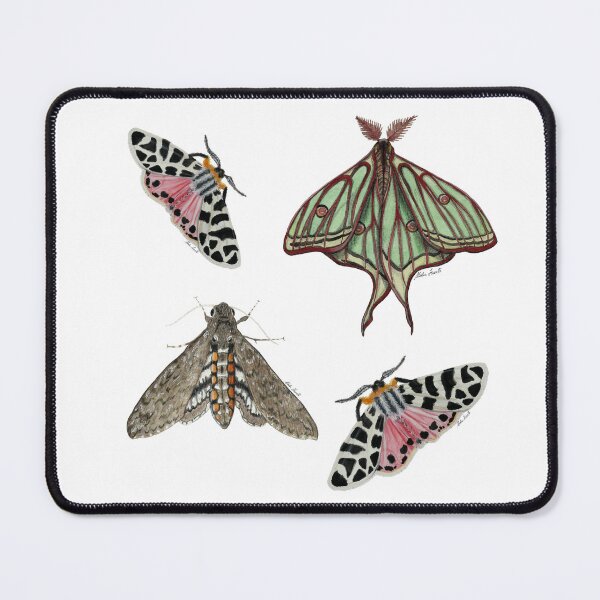 Item preview, Set of moths in watercolor, Isabelina, Arctia caja, manduca brasiliensis designed and sold by Malu-Iriarte.
