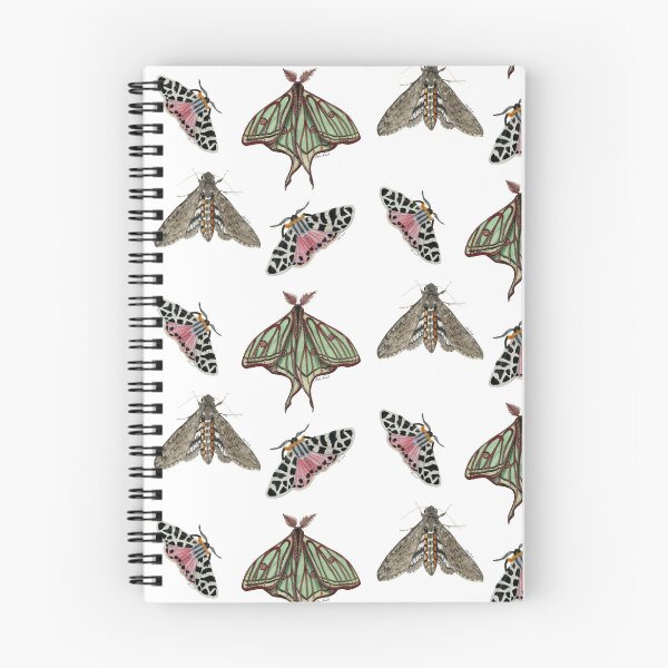 Item preview, Set of moths in watercolor, Isabelina, Arctia caja, manduca brasiliensis designed and sold by Malu-Iriarte.