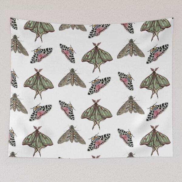 Item preview, Set of moths in watercolor, Isabelina, Arctia caja, manduca brasiliensis designed and sold by Malu-Iriarte.