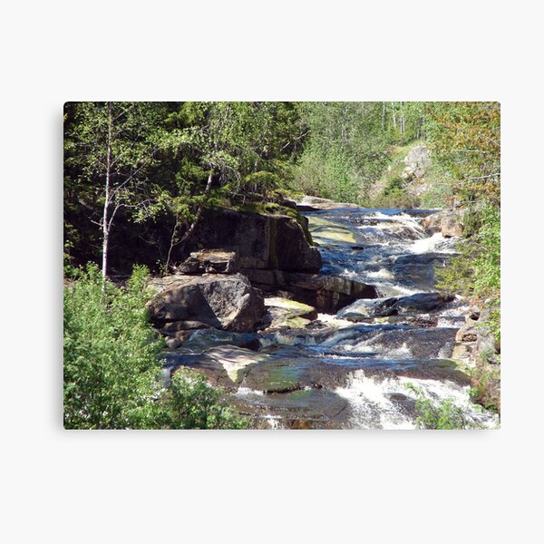 Mountain Stream Canvas Print