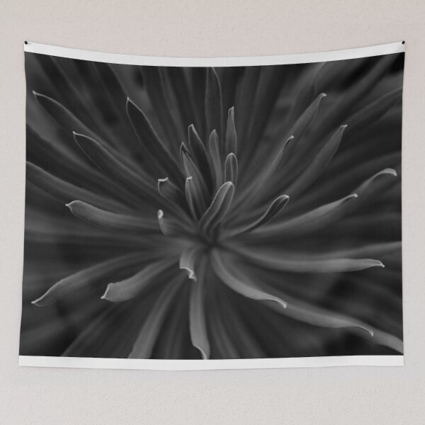 Item preview, Black and White Plant Nature Photograph designed and sold by KellyTheresaPic.