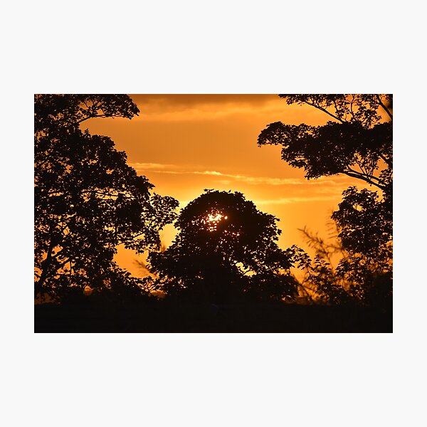A golden sunrise Photographic Print
