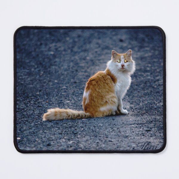 Item preview, Tomcat designed and sold by MoreGoodArt.