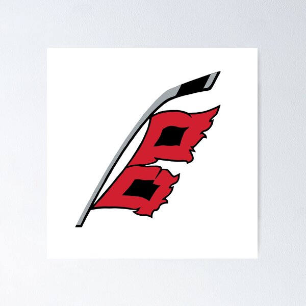 Carolina hurricanes best sale flag logo