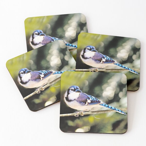Item preview, American Blue Jay On Alert designed and sold by Kay Brewer.