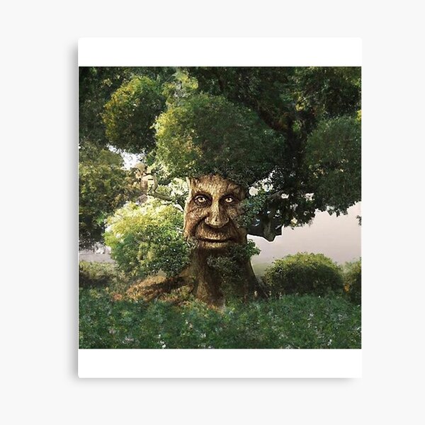 Wise Mystical Tree [WIDE] Metal Print for Sale by Cowboy Mike