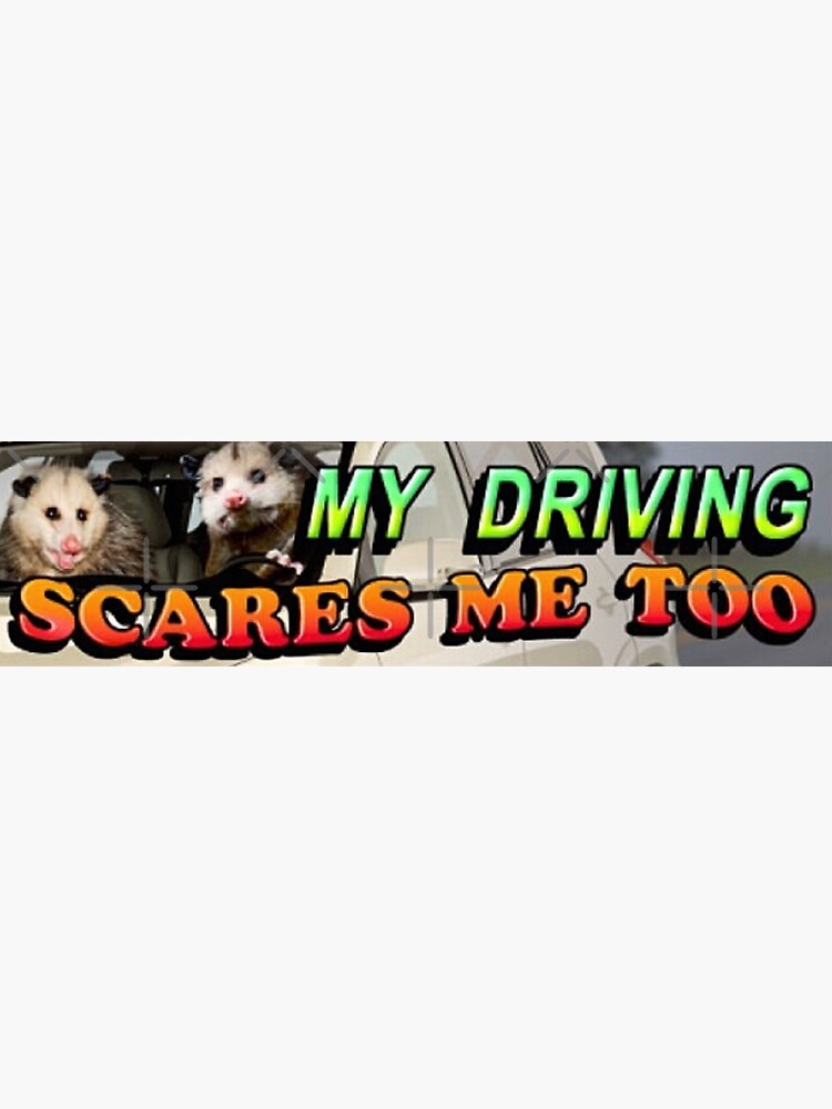 "My Driving Scares Me Too - Funny Weird Possum Bumper Sticker, Opossum ...