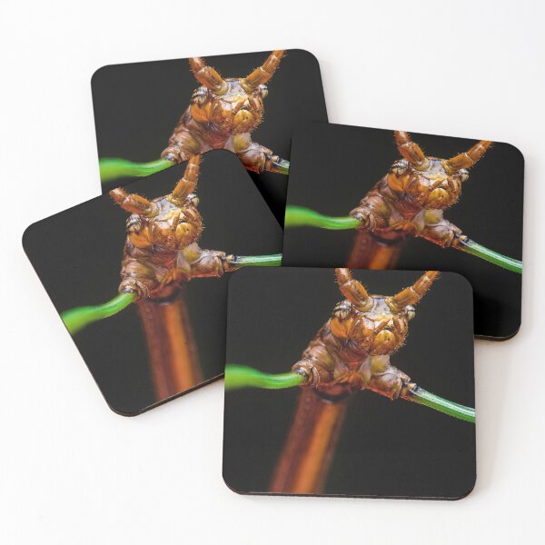 Item preview, Stick Insect - Phasmatodea designed and sold by AronsTinySafari.