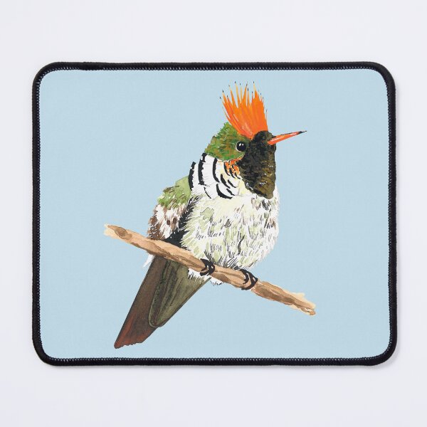 Item preview, FRILLED COQUETTE HUMMINGBIRD-Lophornis magnificus designed and sold by BEATRIZ ABAITUA.