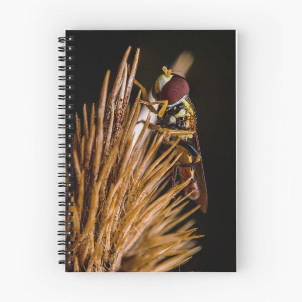 Item preview, Hover Fly - Syrphidae designed and sold by AronsTinySafari.