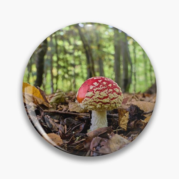 Item preview, Fly agaric or fly amanita (Amanita muscaria) mushroom designed and sold by Mark Bangert.