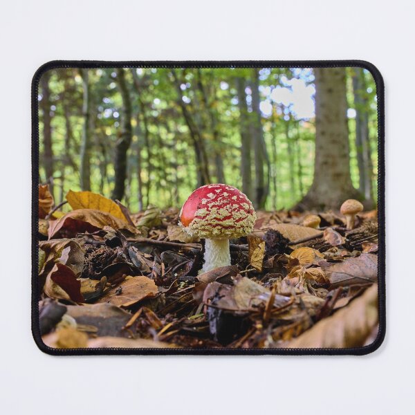 Item preview, Fly agaric or fly amanita (Amanita muscaria) mushroom designed and sold by Mark Bangert.