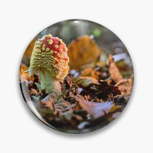 Item preview, Fly agaric or fly amanita (Amanita muscaria)  designed and sold by Mark Bangert.