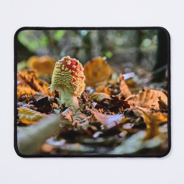 Item preview, Fly agaric or fly amanita (Amanita muscaria)  designed and sold by Mark Bangert.