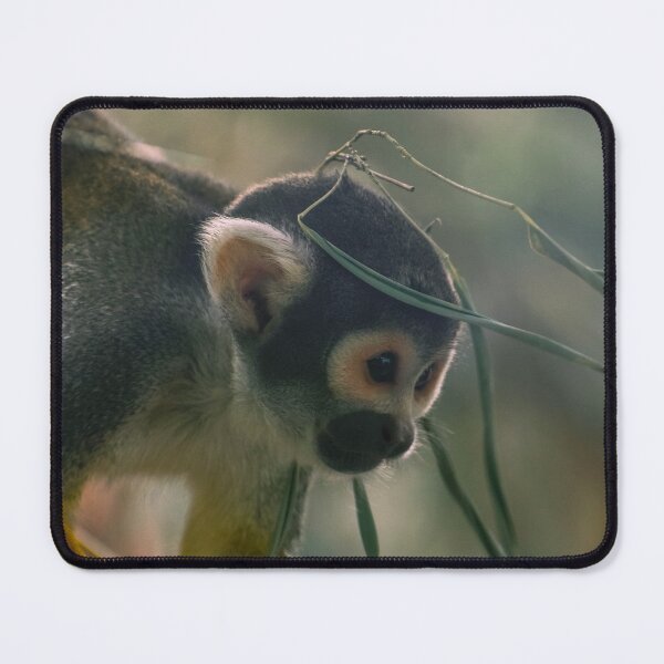Item preview, Black-capped squirrel monkey designed and sold by HerraAnonyymi.