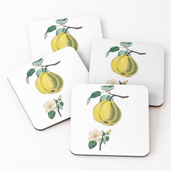 Item preview, Vintage quince illustration designed and sold by creativiteemom.