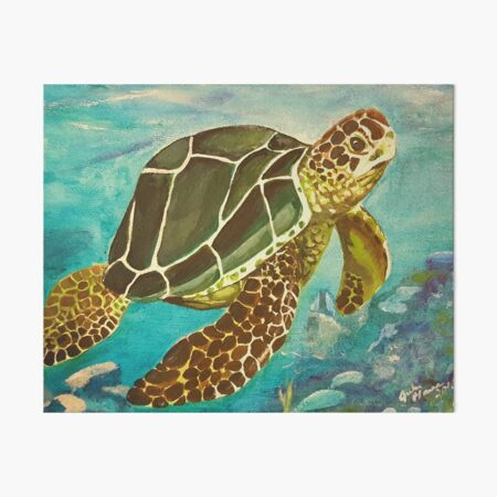 Turtle Art Board Print