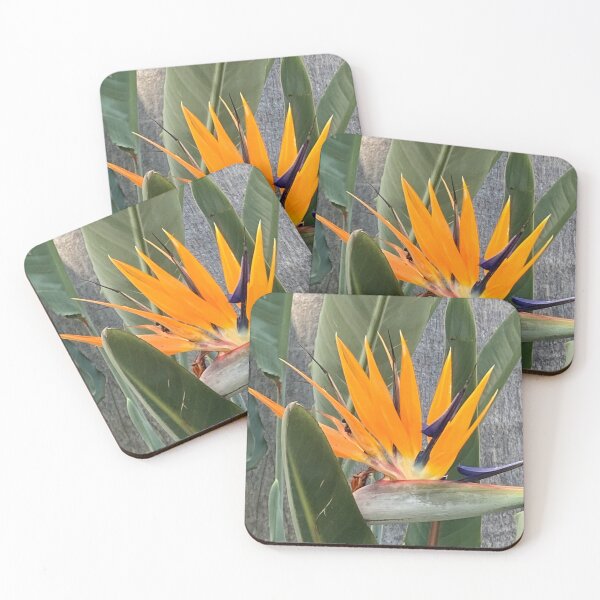 Item preview, Mexico Orange flower designed and sold by ClaireRequa.