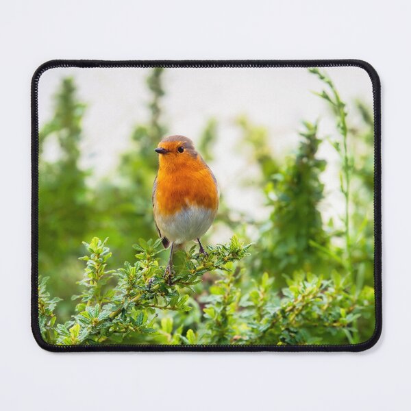 Item preview, English Robin Perched in Shrubbery designed and sold by Dorset Girl.