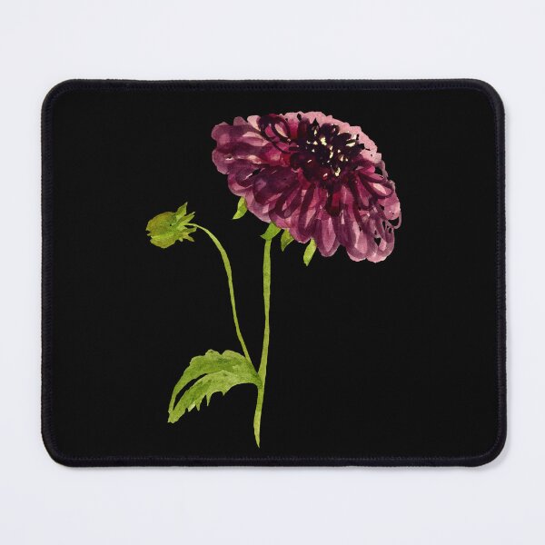 Item preview, Watercolor dahlia illustration on black background designed and sold by Yana Mustafina | Boho Soulful Designs.